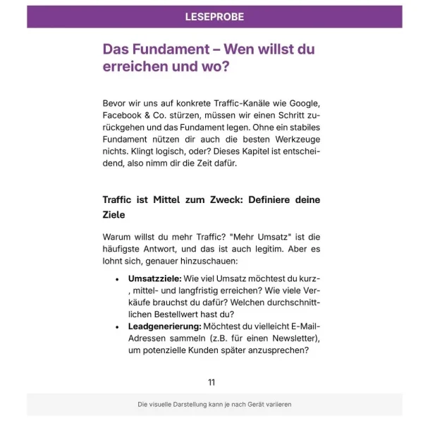 Traffic aufbauen - Leseprobe 1