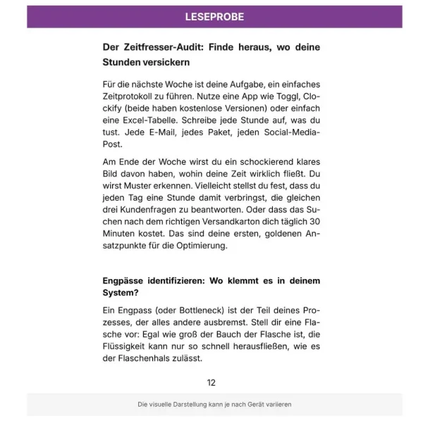 Systeme-skalieren_Leseprobe-3